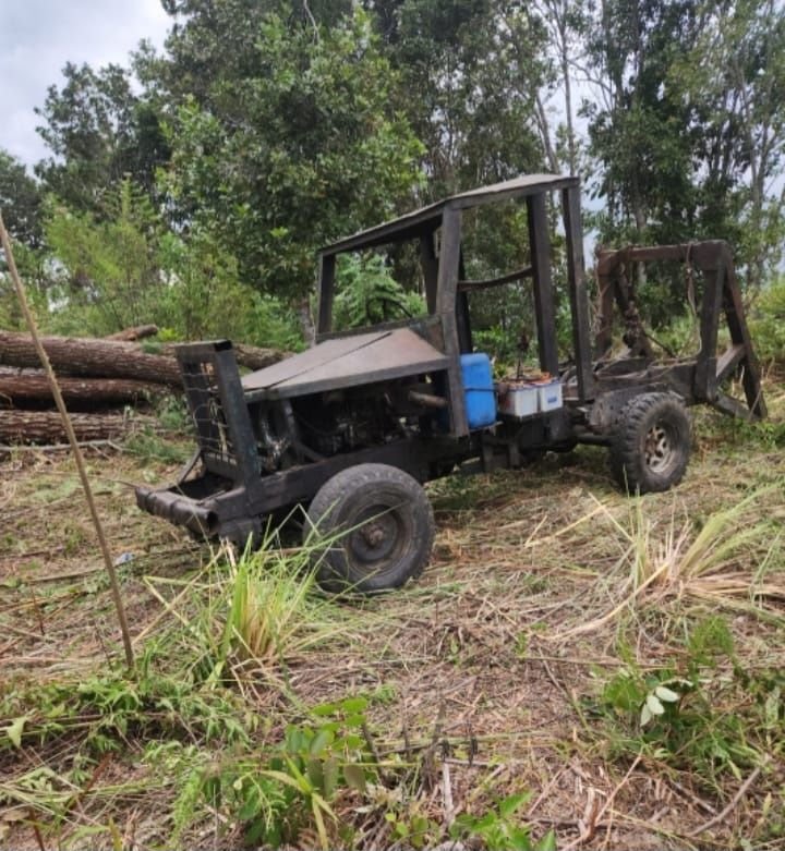 Viktor Silaen Minta Poldasu Perintahkan Polres Humbahas Usut Perambahan Hutan Pinus di Habeahan