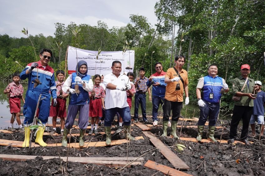 Dari Pengepul Arang dan Ancaman Migas Jadi Pusat Eduekowisata Mangrove Berprestasi