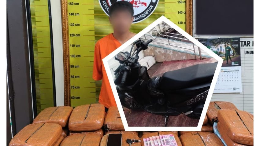Kurir di Padangsidimpuan Bawa 20 Kg Ganja dan Sempat Gigit Lengan Petugas Saat Penangkapan