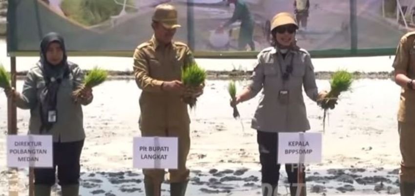Pompanisasi Hadapi El Nino, Petani tetap Produktif dengan Target Penanaman Seluas 70 Ribu Hektare