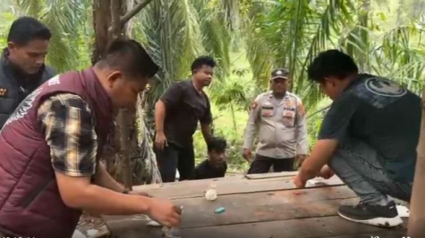 Polisi Gerebek Lapak Pesta Sabu di Kebun Sawit Labusel