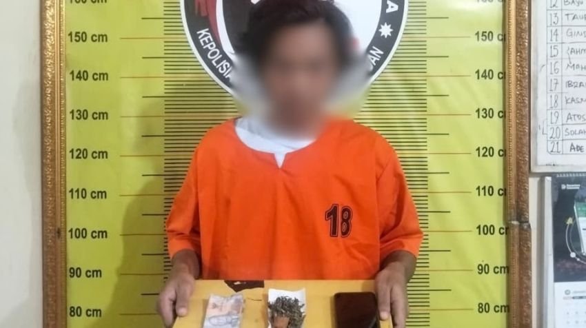 Satresnarkoba Polres Padangsidimpuan Tangkap Pengedar Ganja Berkat Informasi Masyarakat